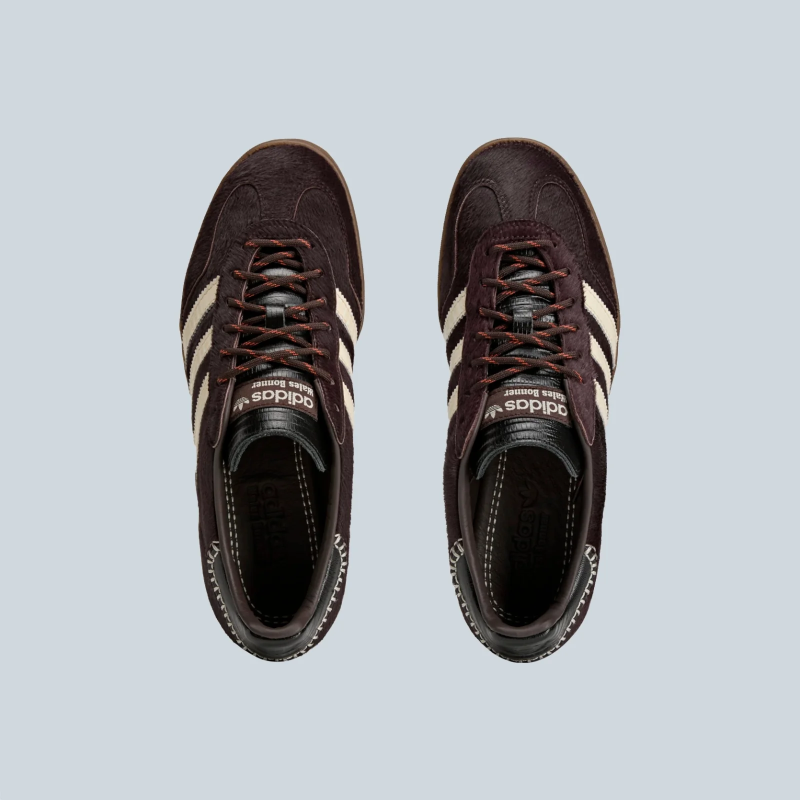 GAZELLE PONY - AAU BLAMER NOIESS - Image 4