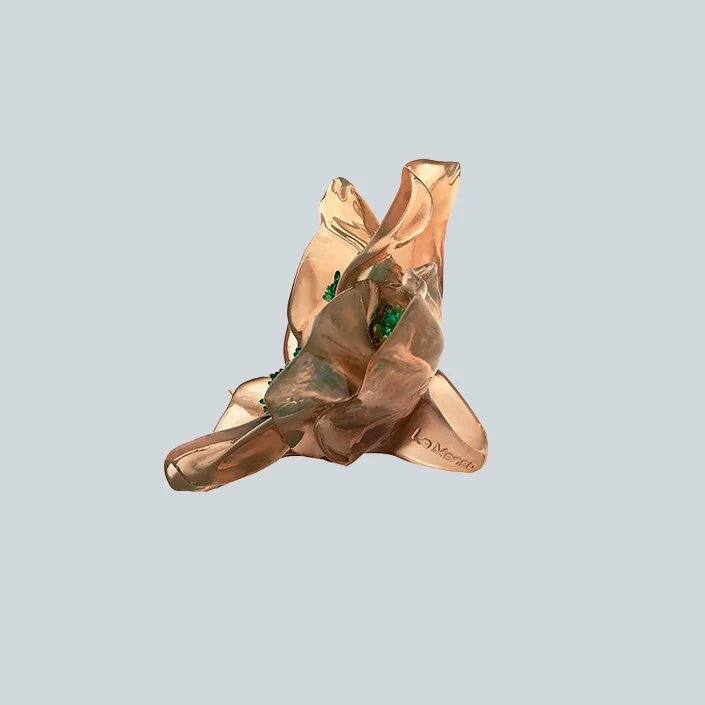 TEMPUS FLORIT - Image 3