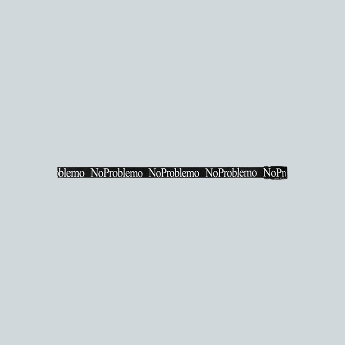 WEBBING BELT - BLACK - Image 2
