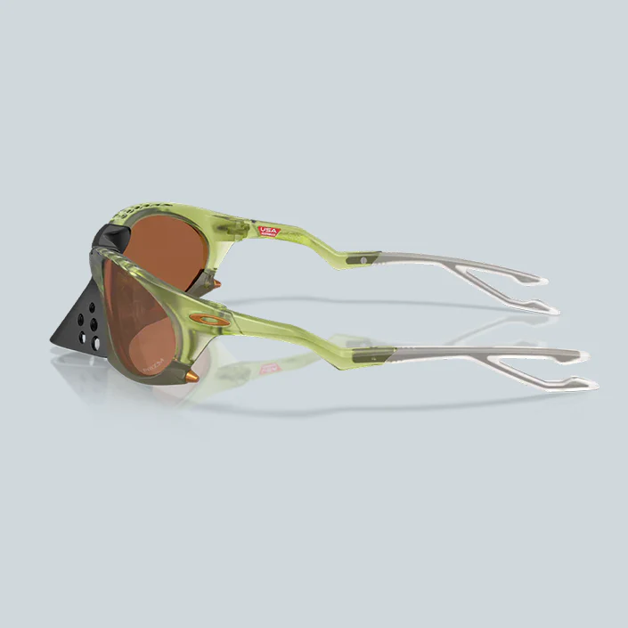 PLANTARIS - PRIZM TUNGSTEN,  MONTURE MATTE TRANSPARENT FERN - Image 3